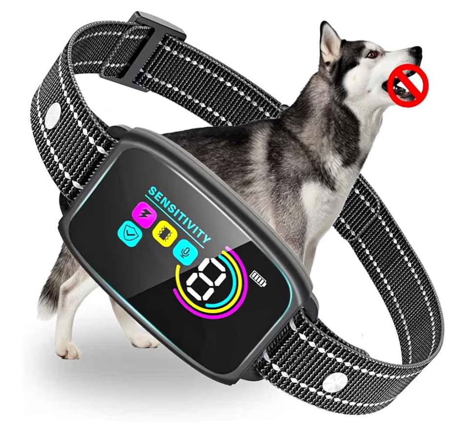 Collier Anti-Aboiement Chien 8–120 lbs  Smart AI Bark Collar All Breeds IPX7 Training