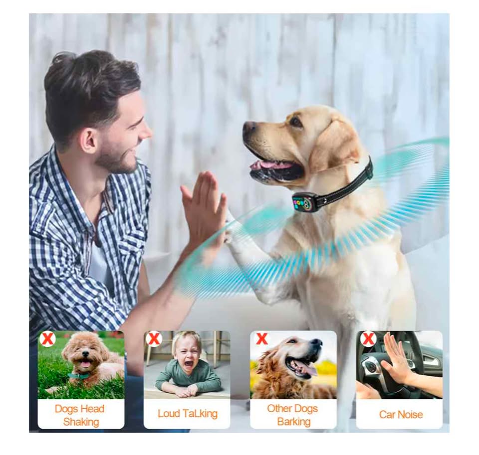Collier Anti-Aboiement Chien 8–120 lbs  Smart AI Bark Collar All Breeds IPX7 Training