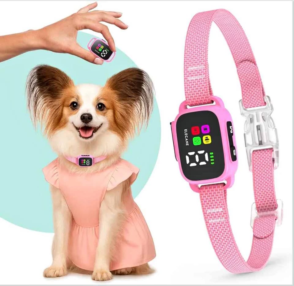 Rose Collier anti-aboiement Elecane petit chien rechargeable 3 modes | Pink Bark Collar Small Dogs